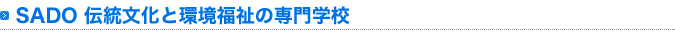 伝統文化と環境福祉の専門学校