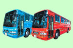 バス