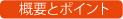 概要とポイント