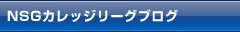 NSG�گ��ذ����۸�