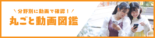 丸ごと動画図鑑
