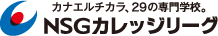 カナエルチカラ。29の専門学校。NSGカレッジリーグ