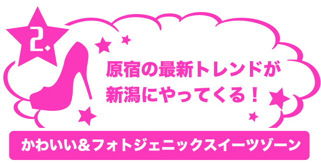 国内最大級のjkイベント シンデレラフェスを新潟で開催 新潟の専門学校nsgカレッジリーグ