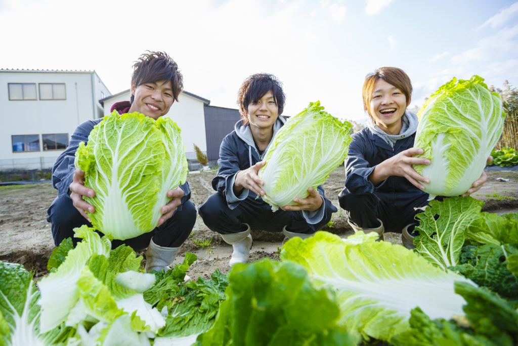 自然 環境関係のお仕事 新潟の専門学校nsgカレッジリーグ